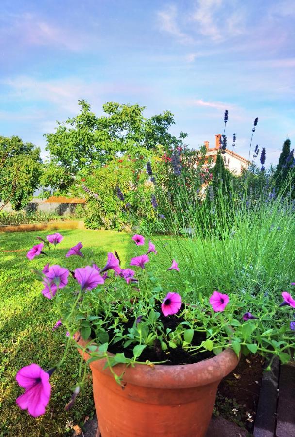 Guesthouse Olei Malinska Dış mekan fotoğraf