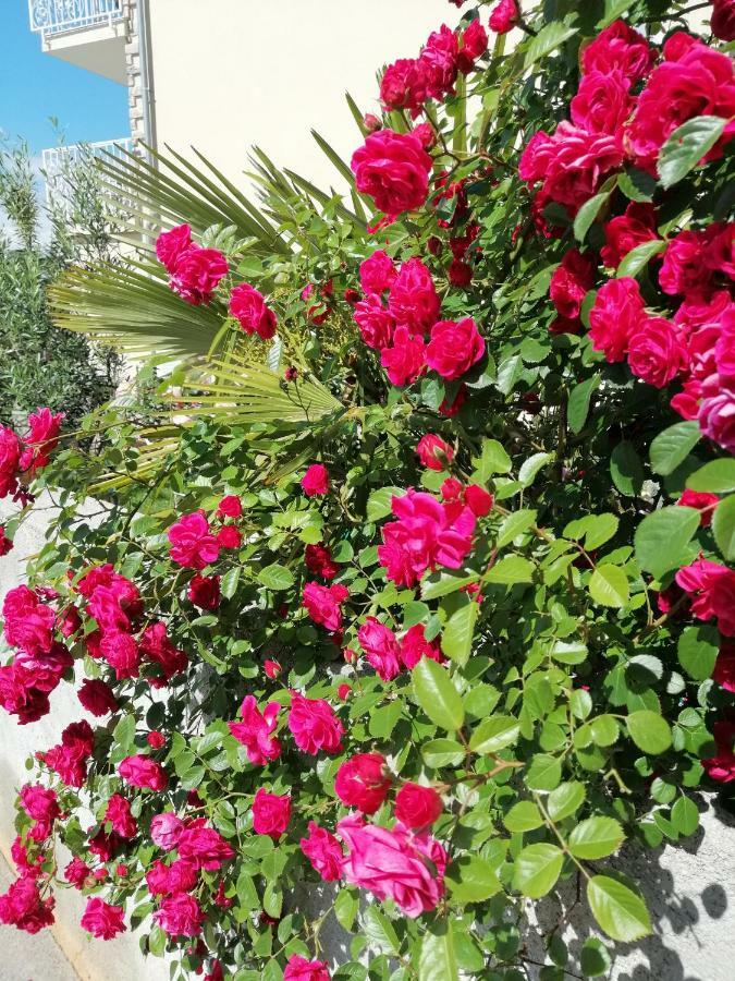 Guesthouse Olei Malinska Dış mekan fotoğraf