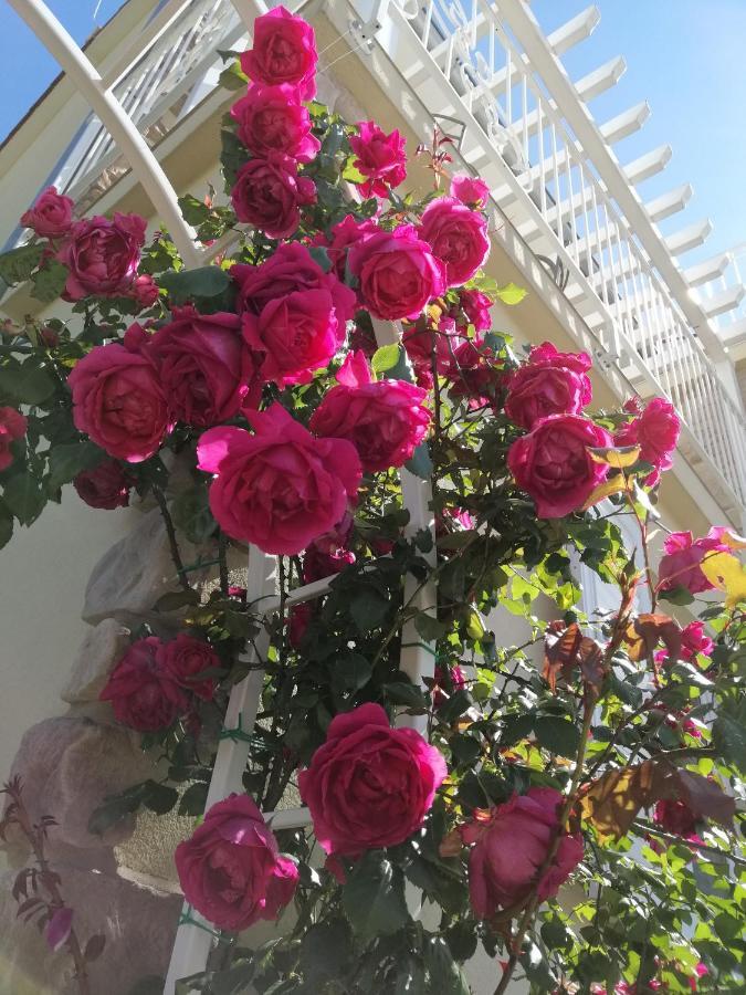 Guesthouse Olei Malinska Dış mekan fotoğraf
